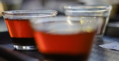 Tazas de cata con Coffea Wightiana, especie silvestre del sur de la India